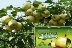 殼寡糖在農業(yè)領域的研究